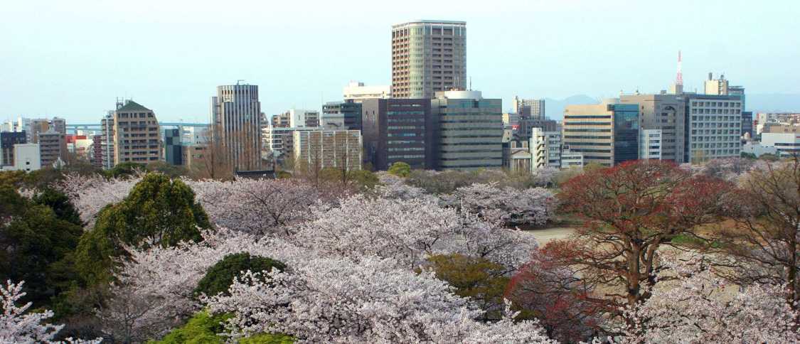 Vivre à Fukuoka : le guide de l'expatrié
