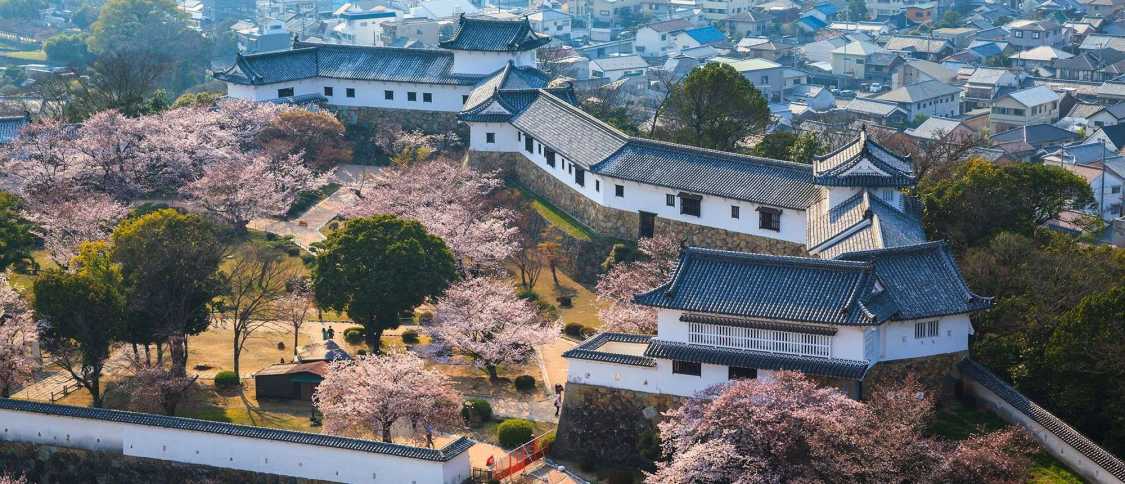 Vivre à Hyogo : le guide de l'expatrié