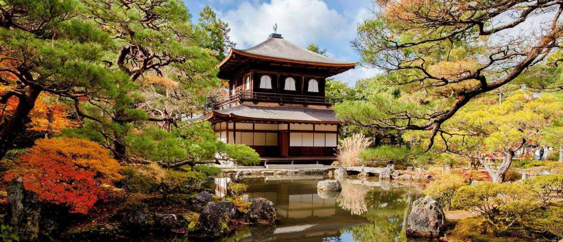 Living in Kyoto: the ultimate expat guide