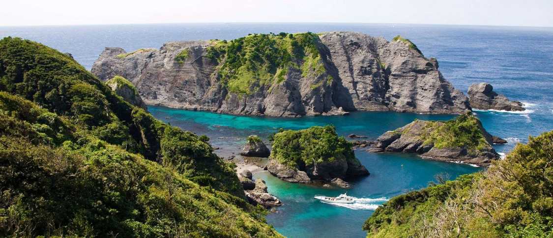 Vivere a Shizuoka: guida per gli espatriati