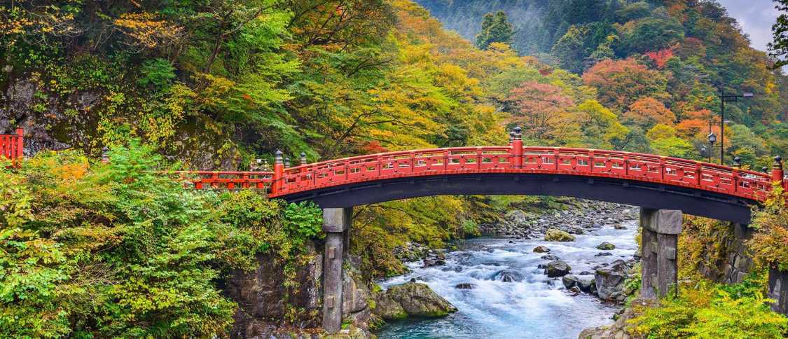 Vivere a Tochigi: guida per gli espatriati