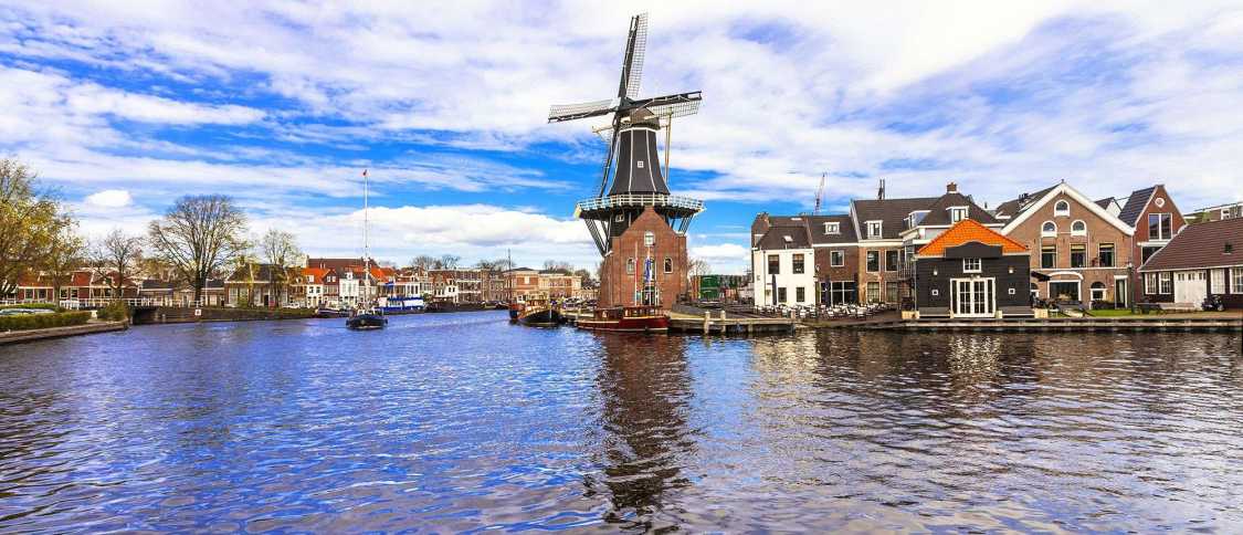 Living in Haarlem: the ultimate expat guide