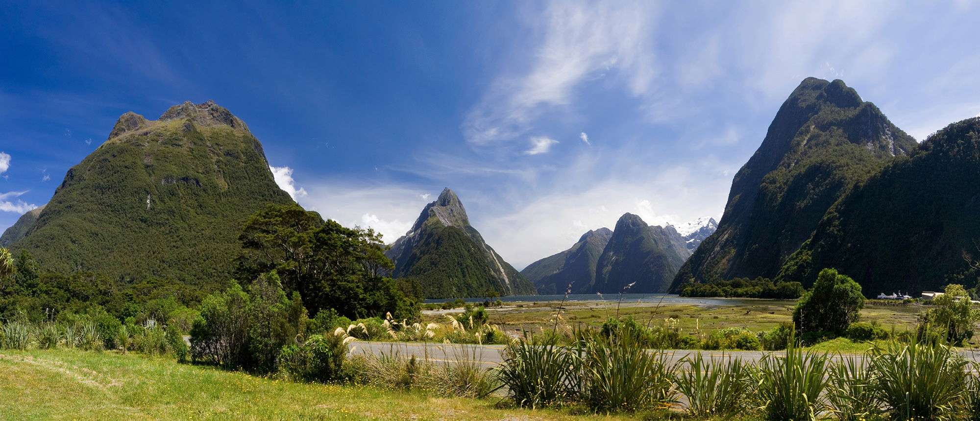 Job offers in New Zealand