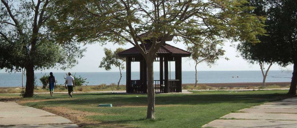 Vivere a Jubail: guida per gli espatriati