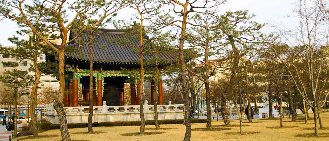 Vivere a Daegu: guida per gli espatriati