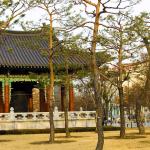 Daegu