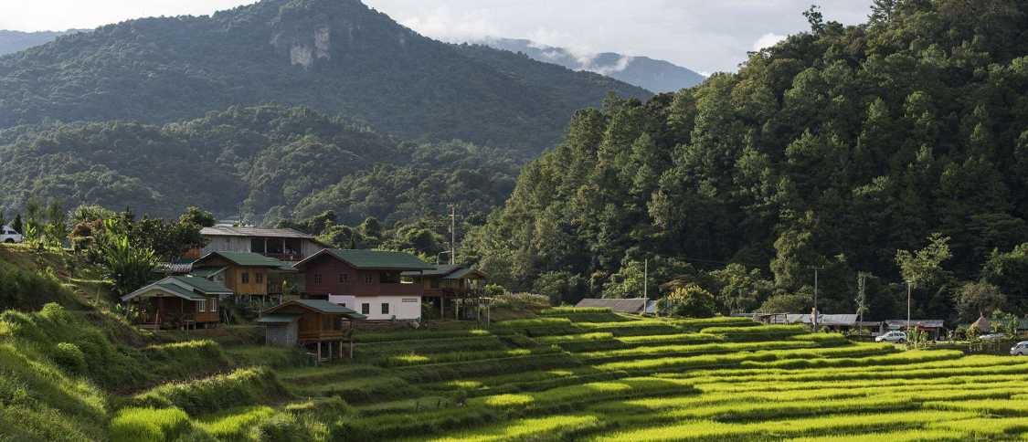 Vivir en Chiang Mai: guía completa para expatriados