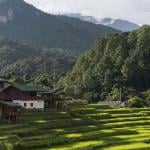 Chiang Mai
