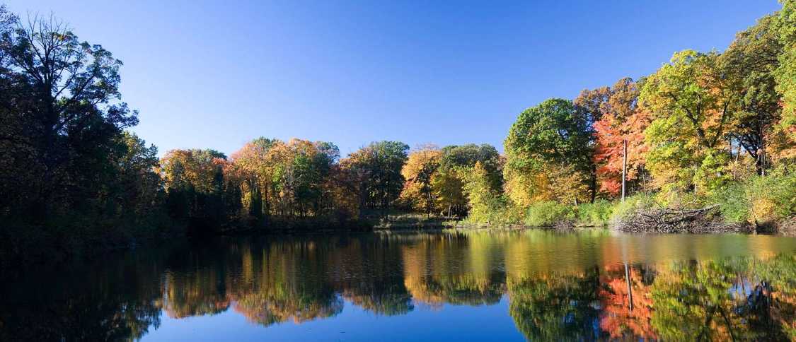 Vivre en Arkansas : le guide de l'expatrié