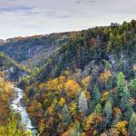 Georgia, USA
