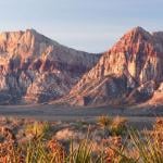 Nevada