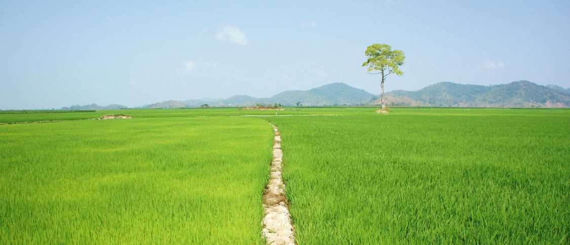 Living in Buon Ma Thuot: the ultimate expat guide