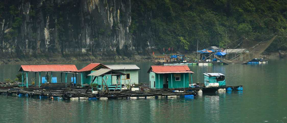 Vivir en Hai Phong: guía completa para expatriados