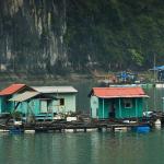 Hai Phong