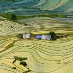 Lao Cai