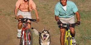 Sanctuary Cove International Boat Show 2026