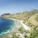 Timor oriental
