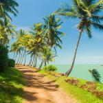 Guyane