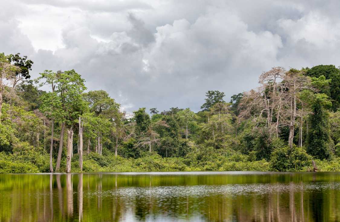Vivre au Gabon : le guide de l'expatrié