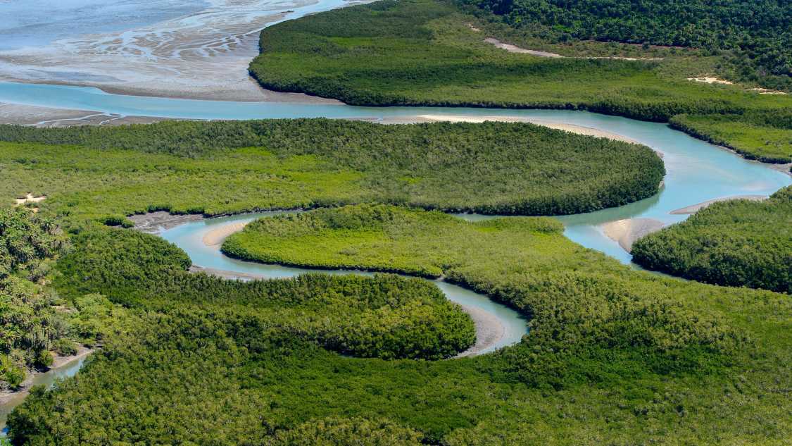Living in Guinea Bissau: the ultimate expat guide