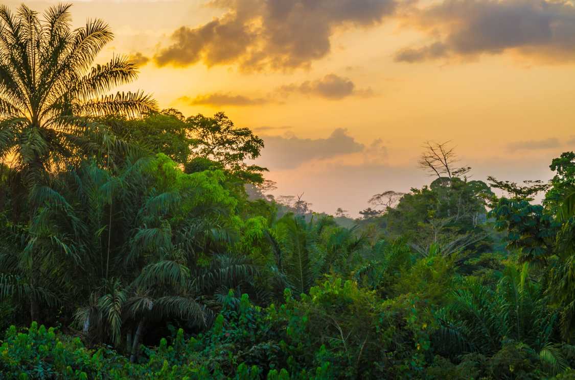 Living in Liberia: the ultimate expat guide