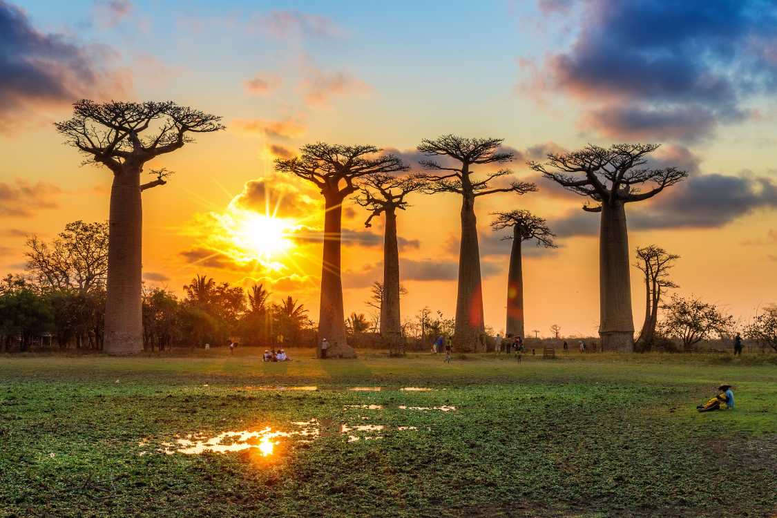 Vivre à Madagascar : le guide de l'expatrié
