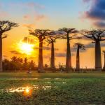 Madagascar