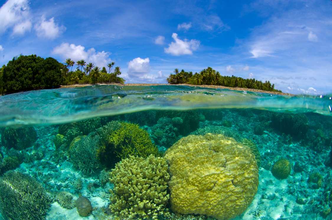 Vivir en las Islas Marshall: guía completa para expatriados