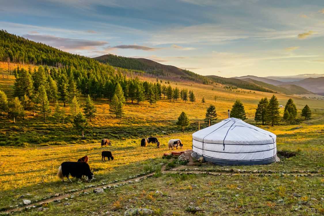 Living in Mongolia: the ultimate expat guide