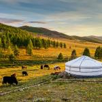 Mongolie