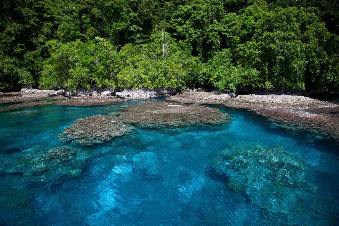 Vivere alle Isole Salomone: guida per gli espatriati