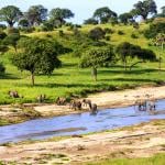 Tanzania