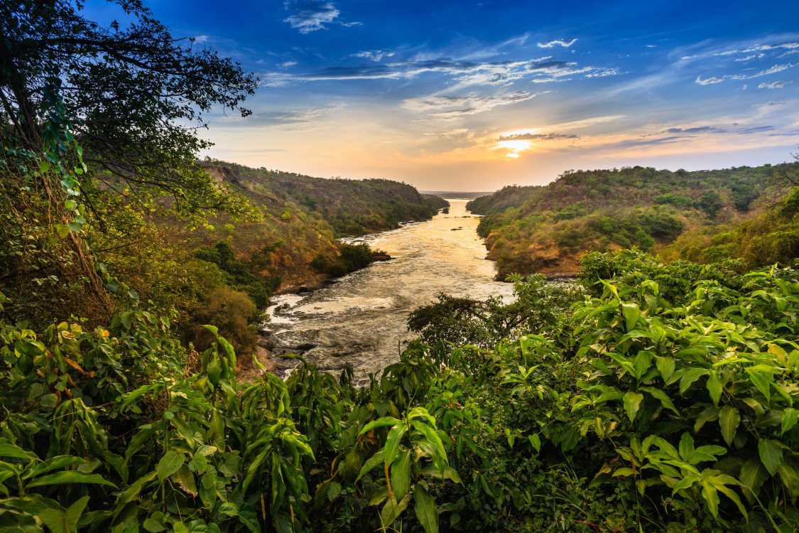 Living in Uganda: the ultimate expat guide