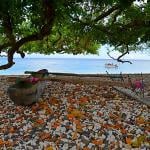Vanuatu