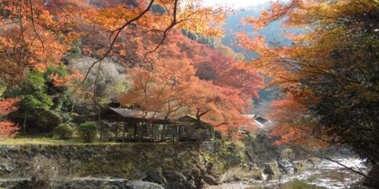 Coraline à Kyoto : « où qu'on aille on croisera toujours le chemin d'un temple ou d'un sanctuaire »