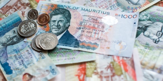 Actualit&eacute; de la semaine &agrave; Maurice : Croissance des r&eacute;serves nationales 