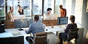 Informatique : où partir avec un diplôme en poche ?