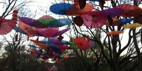 Chris à Kunming : « La Chine représente l'avenir »