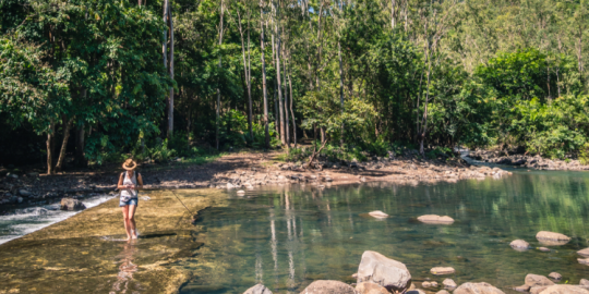 World Environment Day: The perfect places to reconnect with nature in Mauritius