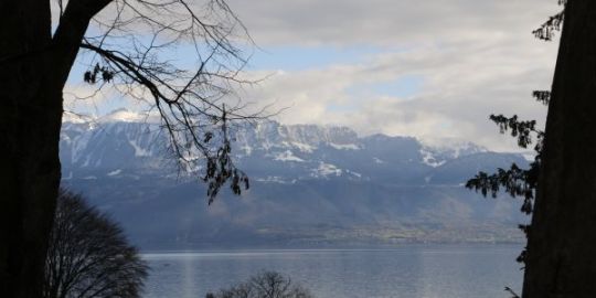 Cyrielle : « Lausanne est une petite ville où les contacts s'entrecroisent très facilement »