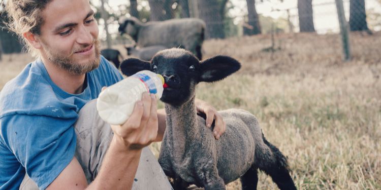 benevolat au quotidien