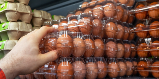 Approvisionnement alimentaire &agrave; Maurice : Comment faire face &agrave; la volatilit&eacute; des prix et de la disponibilit&eacute; ?