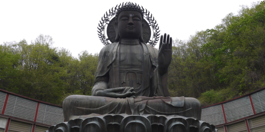 Retour aux sources au pays du matin calme