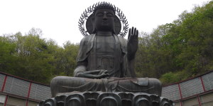 Retour aux sources au pays du matin calme