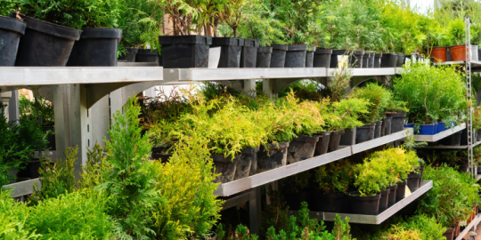 October's event calendar