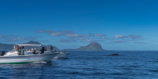 Actu de la semaine : nouvelles r&egrave;gles pour s&eacute;curiser les activit&eacute;s marines touristiques &agrave; Maurice