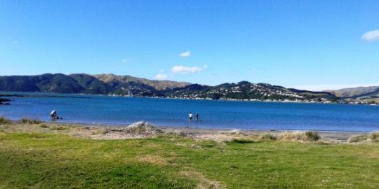 Kimilena in Wellington: 