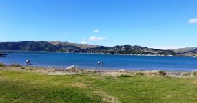 Kimilena in Wellington: "The pace of life is very pleasant"