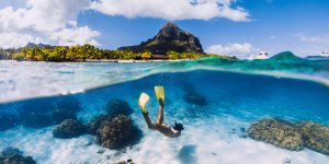 Présence de requins à Maurice : Faut-il s'inquiéter ?