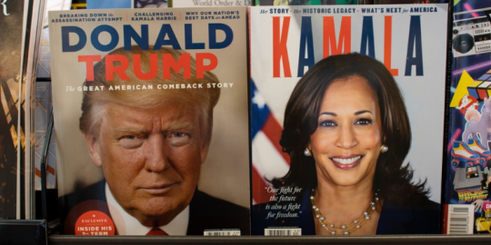 US presidential election 2024: Expats express their concerns